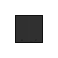 Zigbee 2 Gang Key Switch-EU - Black Zigbee 2 Gang Key Switch-EU - Black