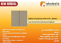 Zigbee 2 Gang Key Switch-EU - golden