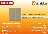 Zigbee 2 Gang Key Switch-EU - golden