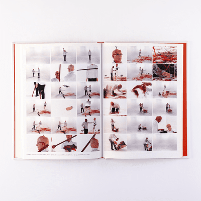 Alegorías capilares Alegorías capilares