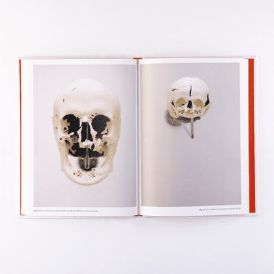 Alegorías capilares Alegorías capilares