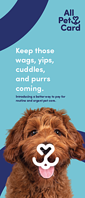 Brochures with 6 & 12 Months No Interest Payment Plan