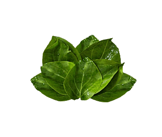 Anguna Leaves (200gm)