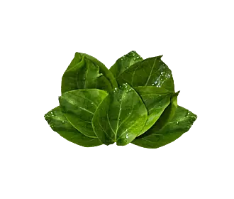 Anguna Leaves (200gm)
