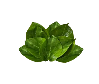 Anguna Leaves (200gm)
