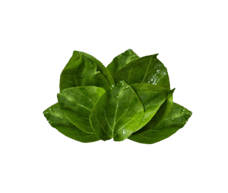 Anguna Leaves (200gm)