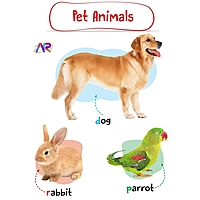 My AR Book of Animals, Vehicles, Human Body, Opposite & Shapes - Set of 4 Early Learning Books