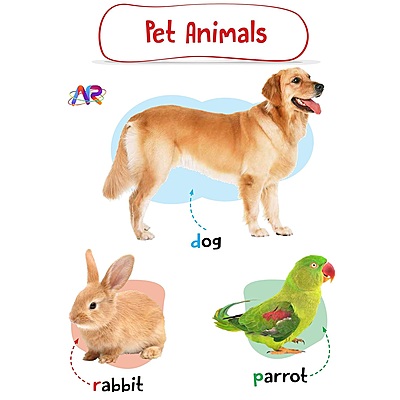 My AR Book of Animals, Vehicles, Human Body, Opposite & Shapes - Set of 4 Early Learning Books