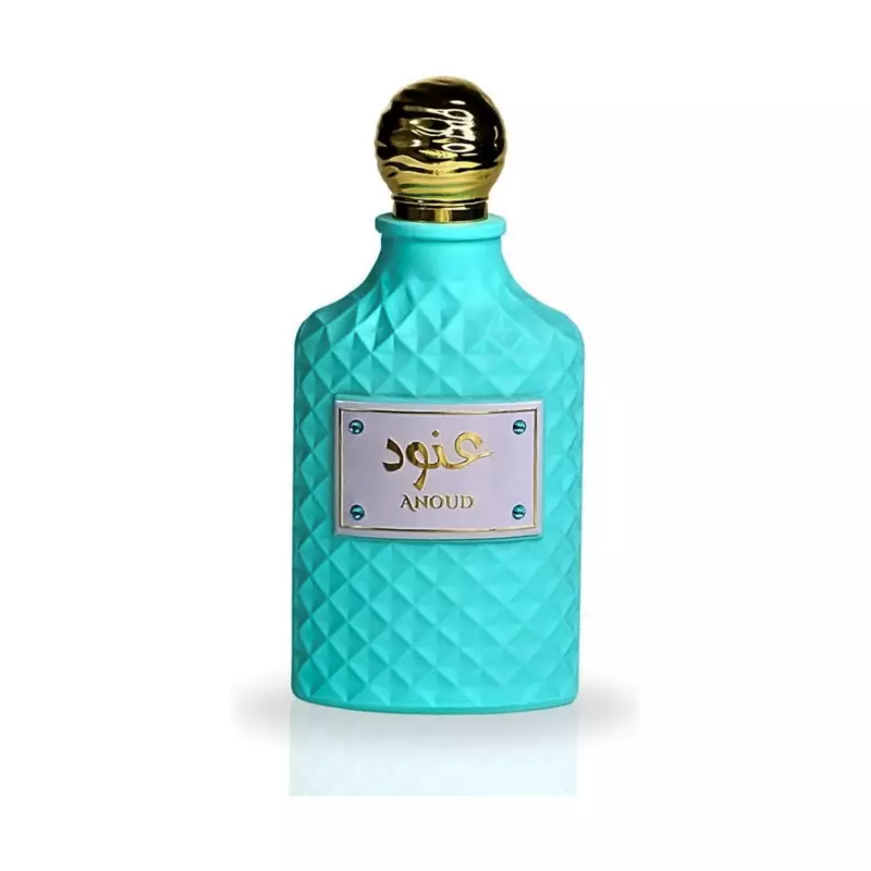 Anoud EDP 100ML