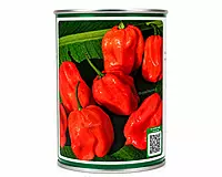 HABANERO ANTILLAIS
