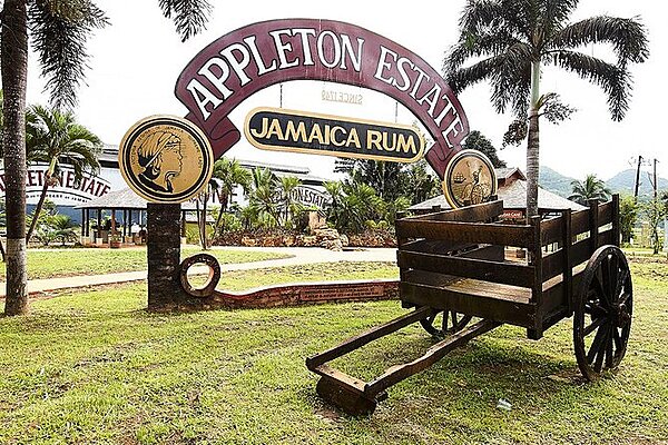 Appleton estate tour
