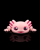 Ashley the Axolotl