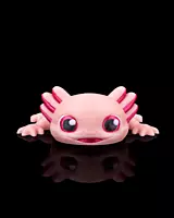 Ashley the Axolotl