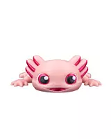 Ashley the Axolotl