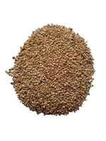 Ashwagandha Herb (அஸ்வகந்தா )