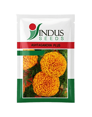 Marigold Ashtgandha Plus - Indus Seeds (1000 Seeds)