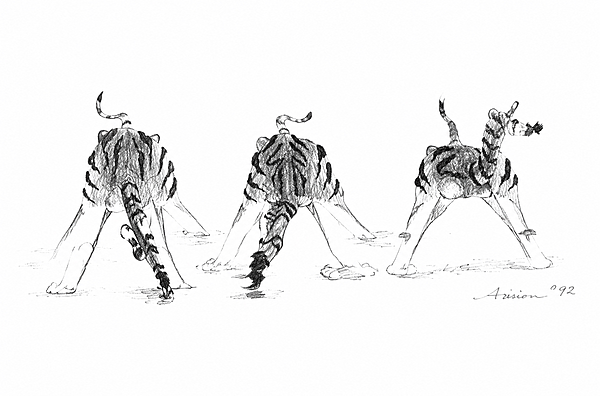 At the Waterhole