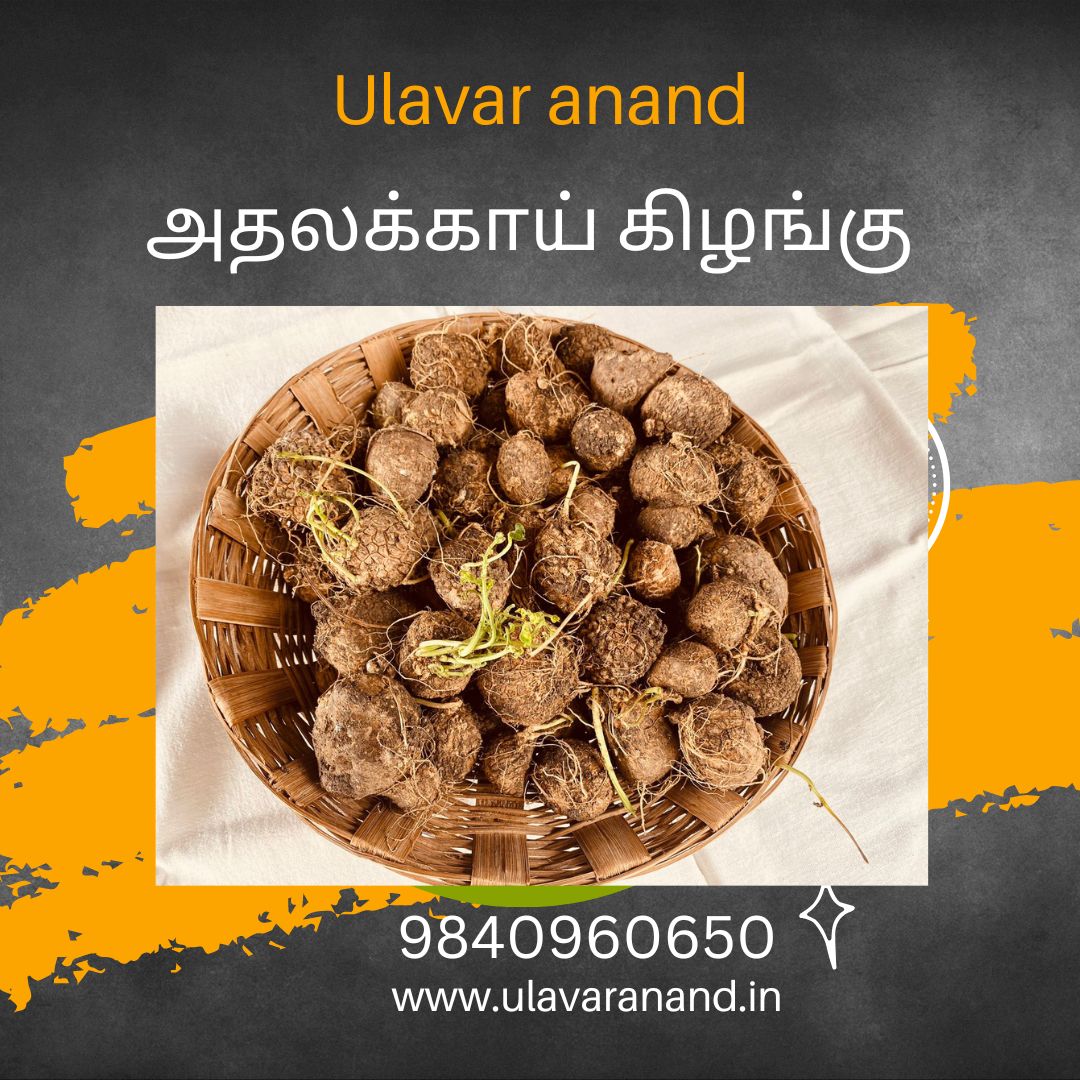 Athalaikai (அதலைக்காய் )