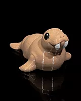 Atlantic Walrus