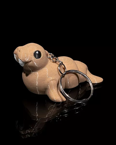 Atlantic Walrus