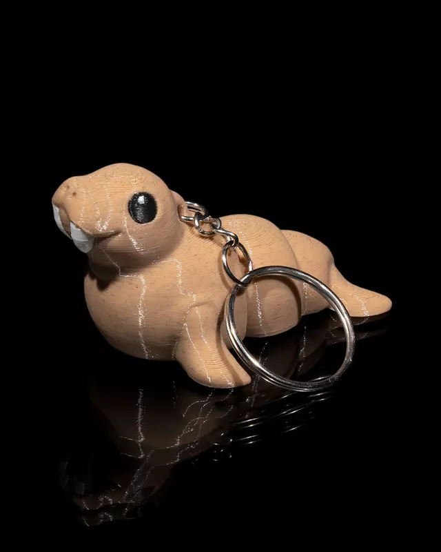 Atlantic Walrus