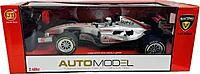 Auto Model 1:12 Remote Control Car- Sports Car - Silver