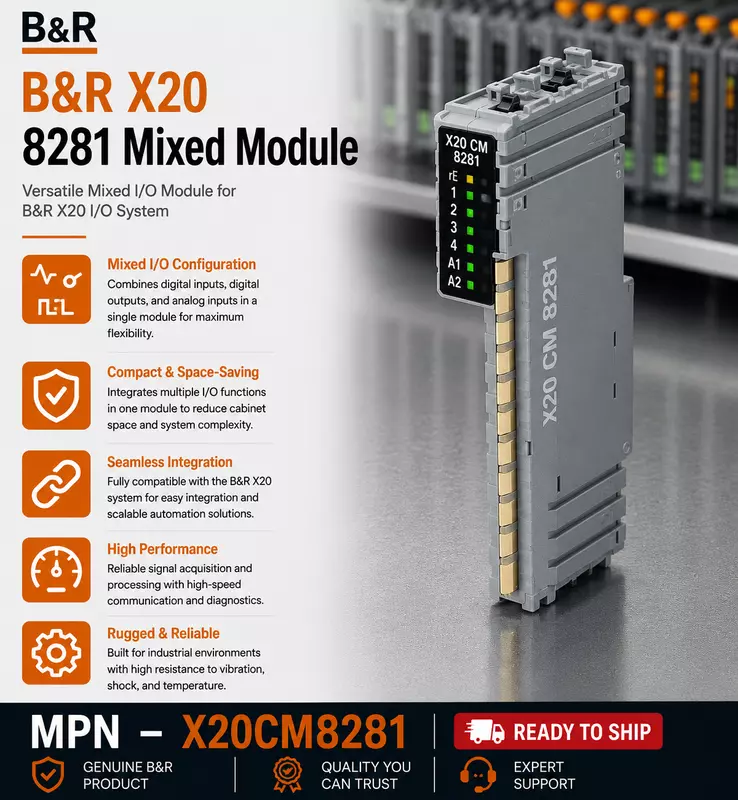 B&R X20 Mixed Module 8281
