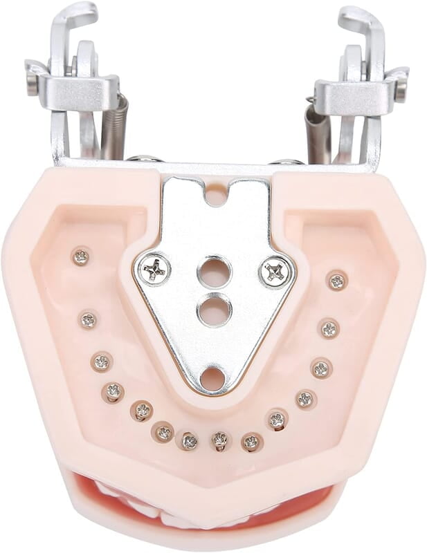 Modelo de Dientes estándar Desmontable