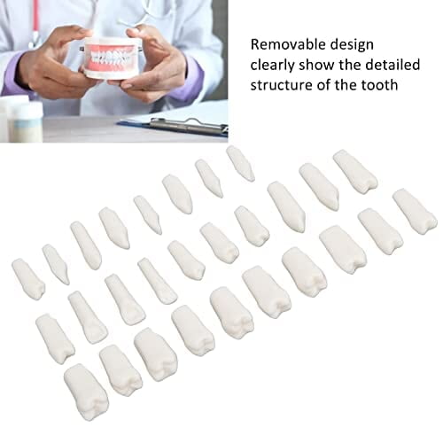 28 Piezas de Dientes Extraíbles