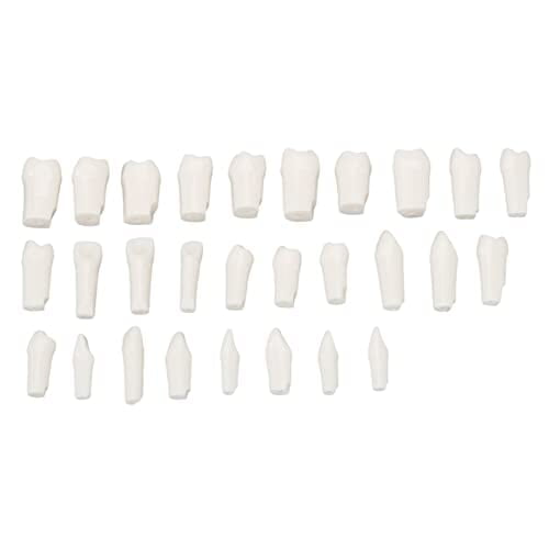 28 Piezas de Dientes Extraíbles