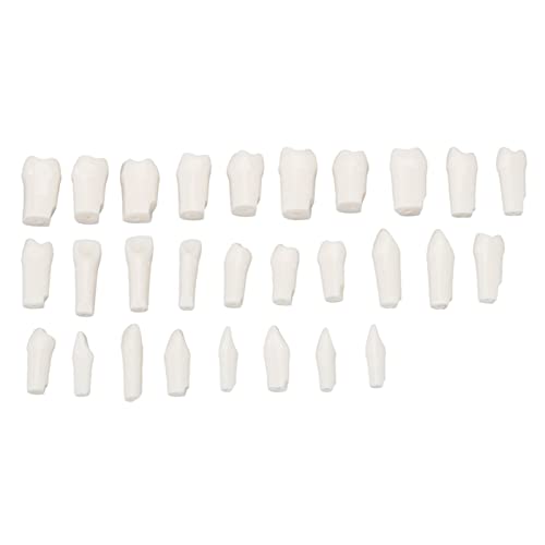 28 Piezas de Dientes Extraíbles