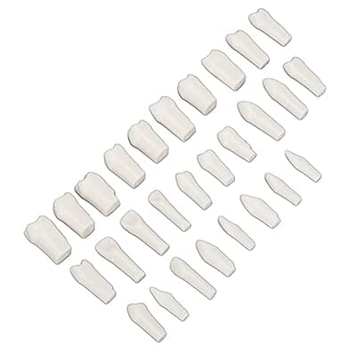 28 Piezas de Dientes Extraíbles 28 Piezas de Dientes Extraíbles
