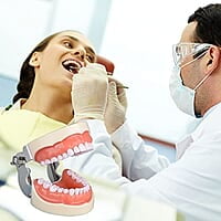 Ultrassist Typodont - Modelo de dientes con 32 dientes desmontables