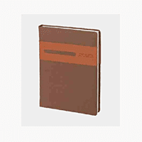 B5 Blue Executive Diary BB85