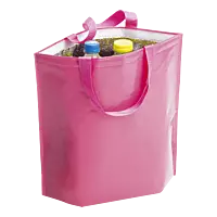 Hobart Cooler Bag