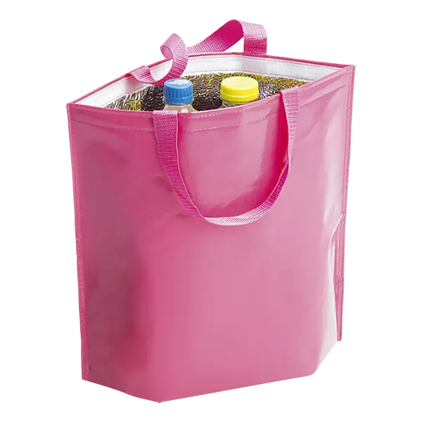 Hobart Cooler Bag