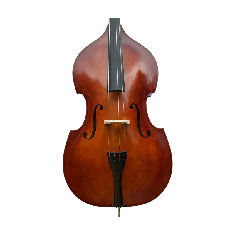 Double Bass 1/2 Lento model