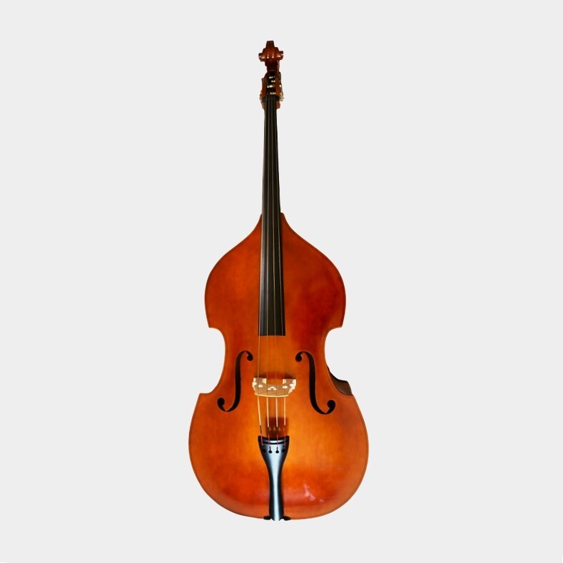 Double Bass 3/4 Andante model