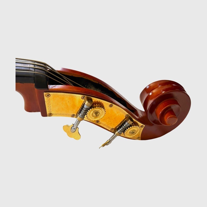 Double Bass 3/4 Andante model