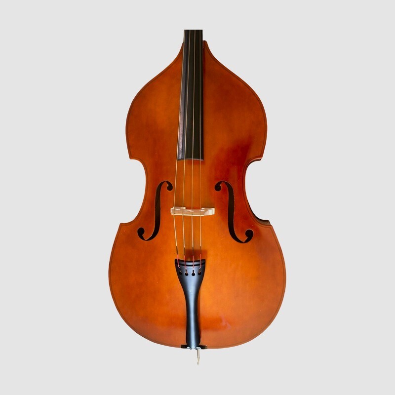 Double Bass 3/4 Andante model
