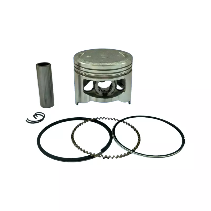 PISTON KIT (25)