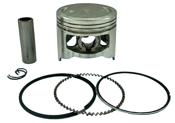 PISTON KIT (100)