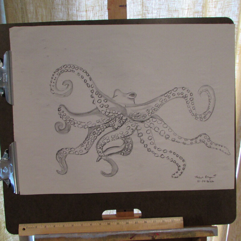 Octopus Drawing