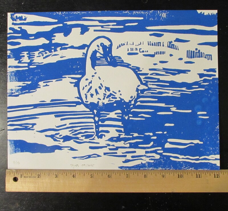 Print of swan
