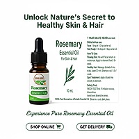 BBM Rosemary Oil 10ML