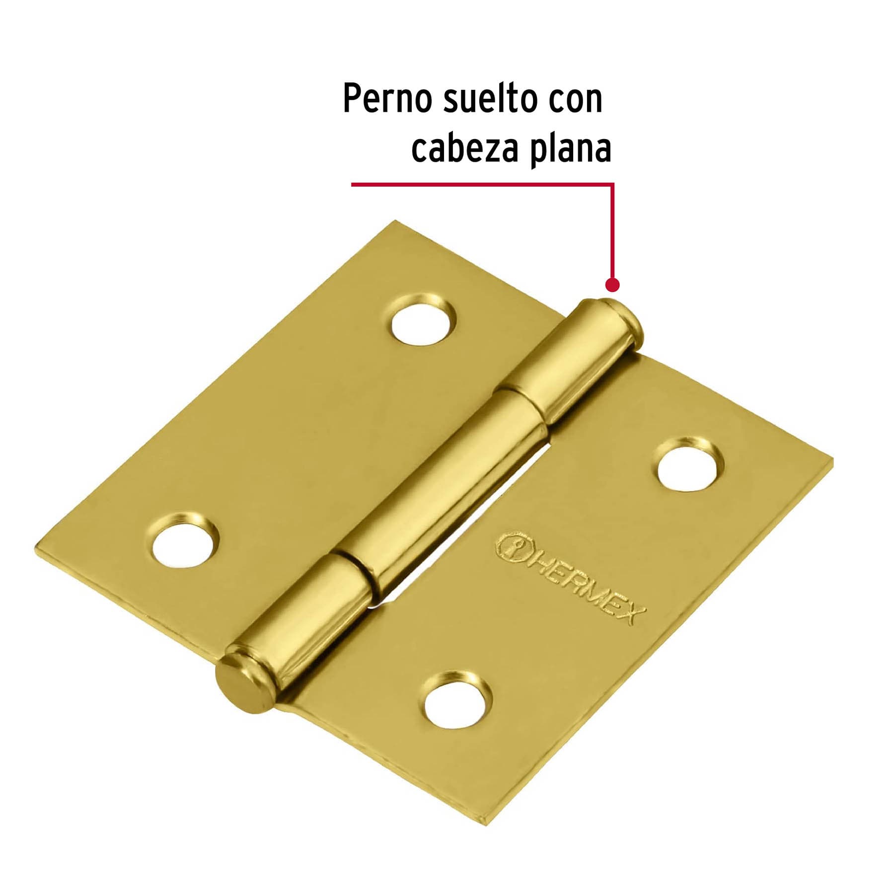 Bisagra cuadrada 2', acero latonado, plana - BC-201P / 43235