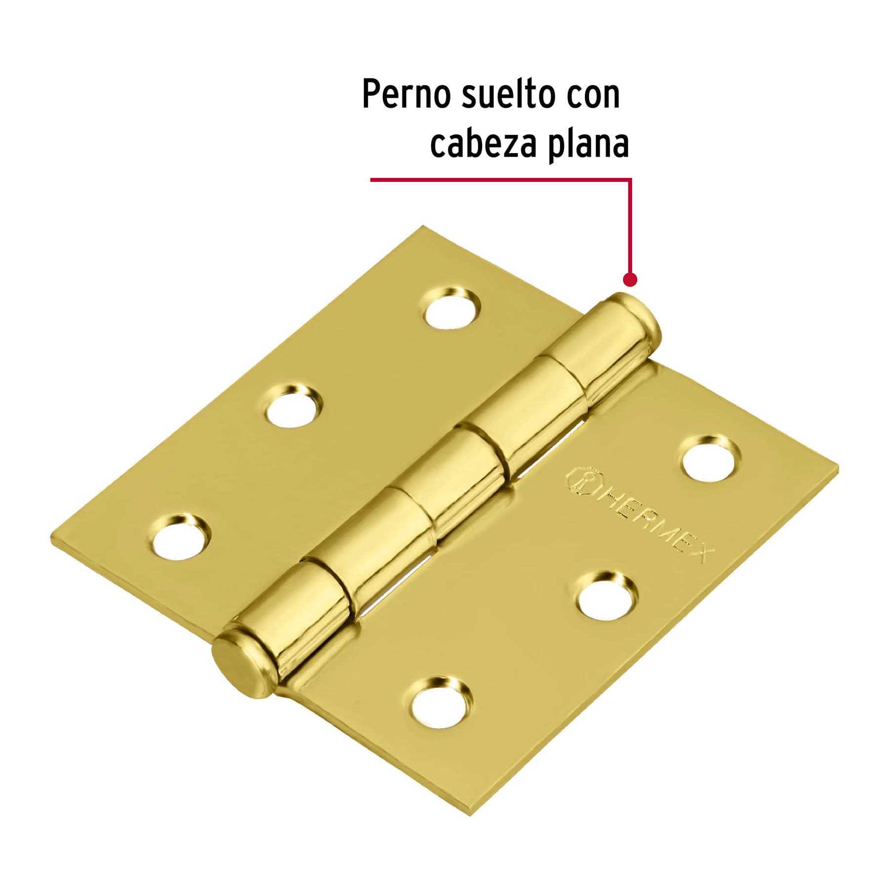Bisagra cuadrada 2-1/2', acero latonado, plana - BC-251P / 43236