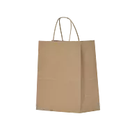 PAPER BAG 20X35X37 - BROWN T/H (CTN1X250PCS)