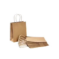 PAPER BAG 16X30X30 - BROWN T/H (CTN1X250PCS)