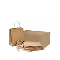 PAPER BAG 16G MEDIUM - BROWN T/H (CTN1X250PCS)